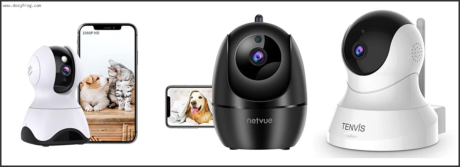 Best Pet Camera For Rv
