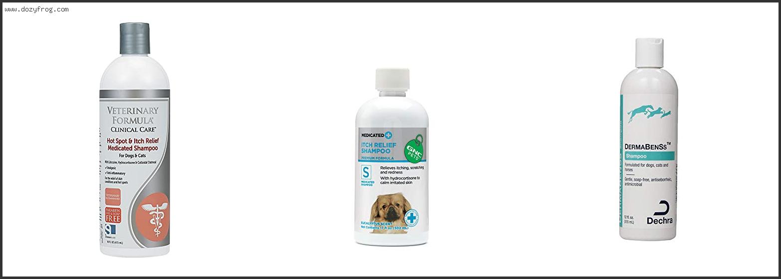 Best Hydrocortisone Dog Shampoo