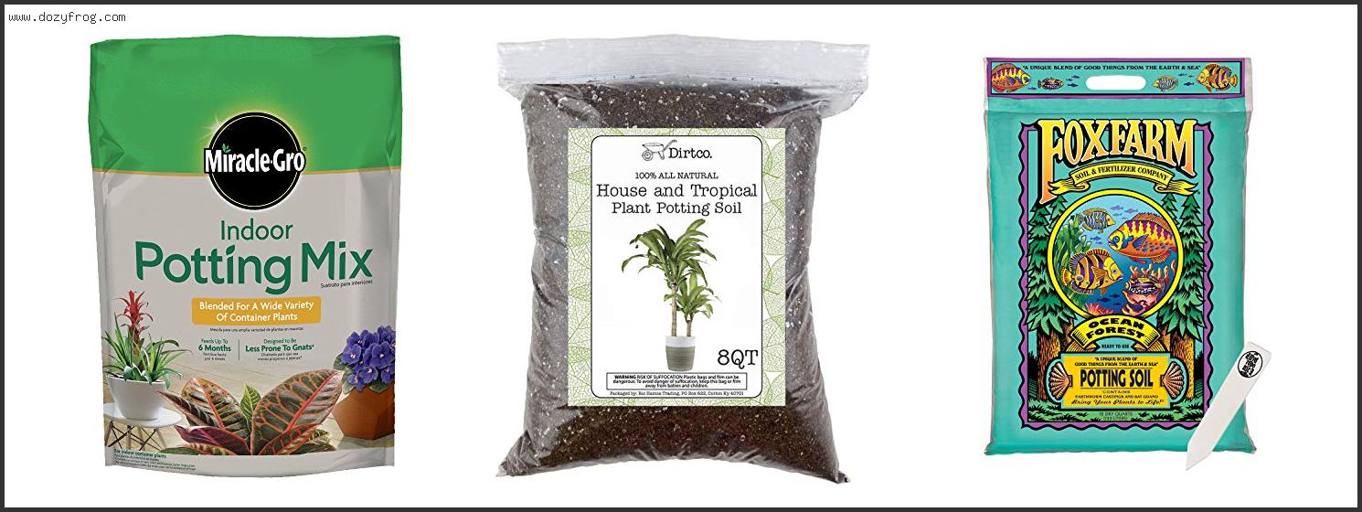 Best Indoor Potting Soil Without Bugs